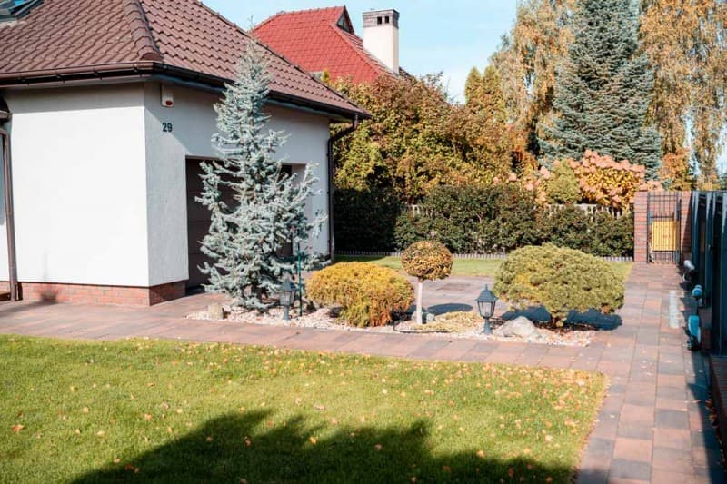 Zdjęcie 4