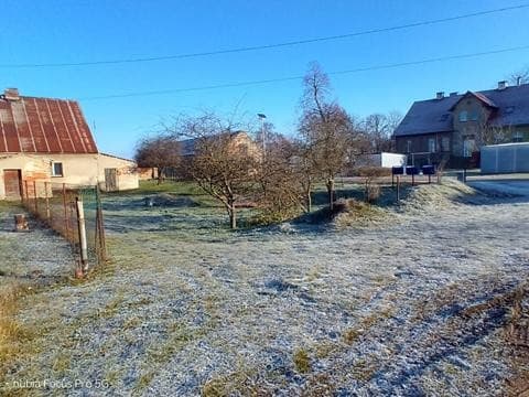 Zdjęcie 13