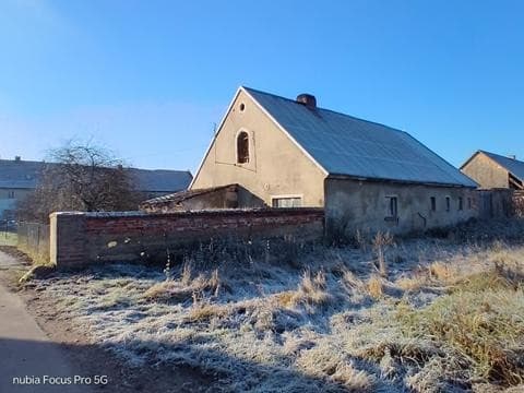 Zdjęcie 14