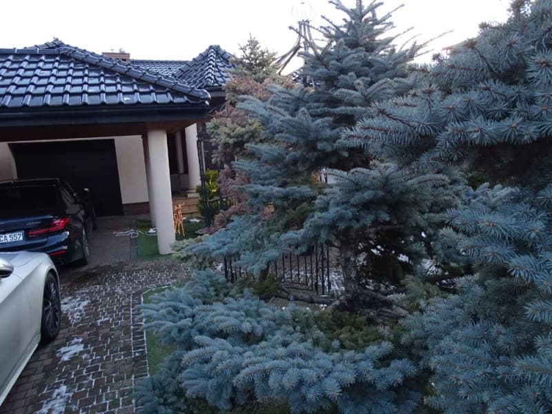 Zdjęcie 20