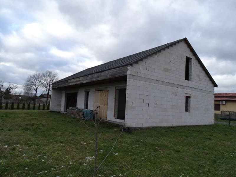 Zdjęcie 12
