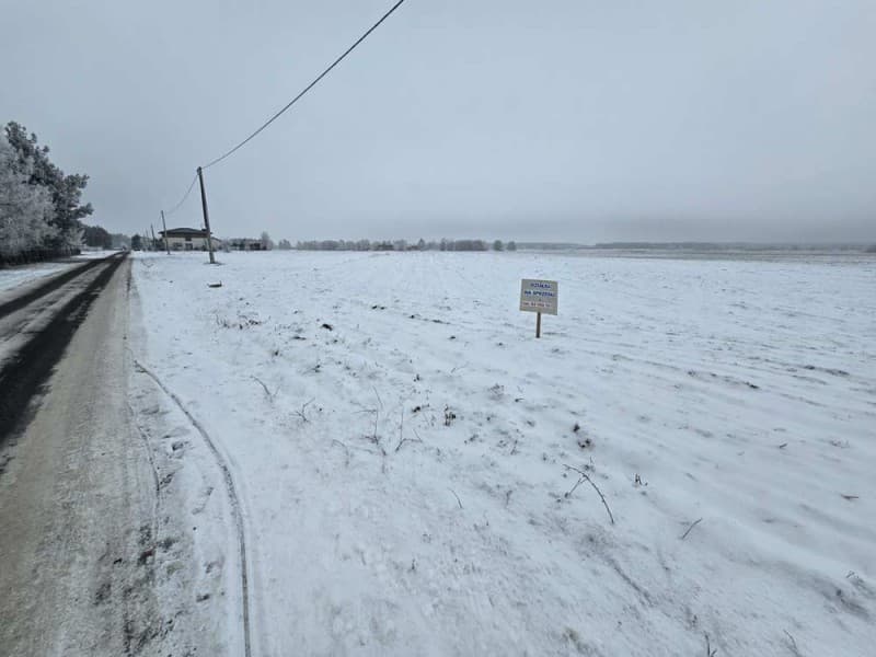 Zdjęcie 6