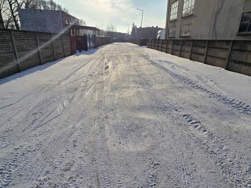 Zdjęcie 10