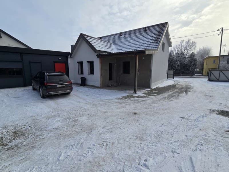 Zdjęcie 51