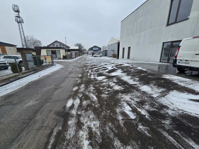 Zdjęcie 10