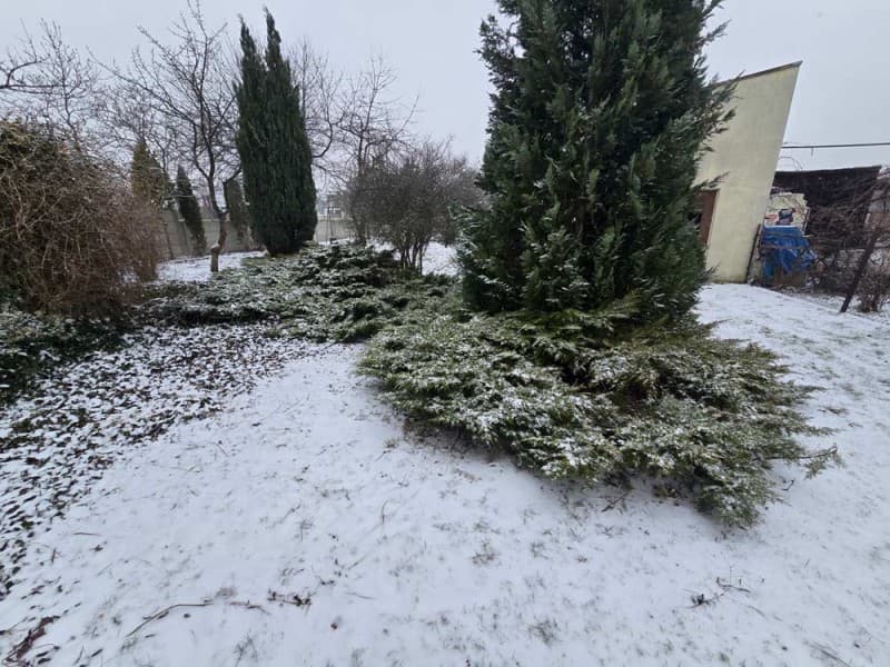 Zdjęcie 6