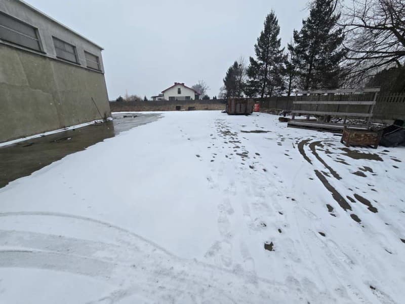Zdjęcie 6