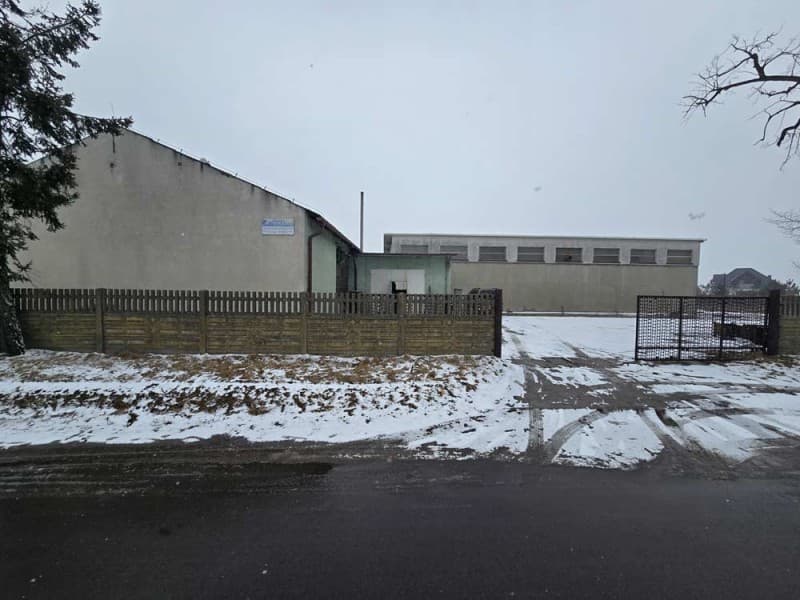 Zdjęcie 5