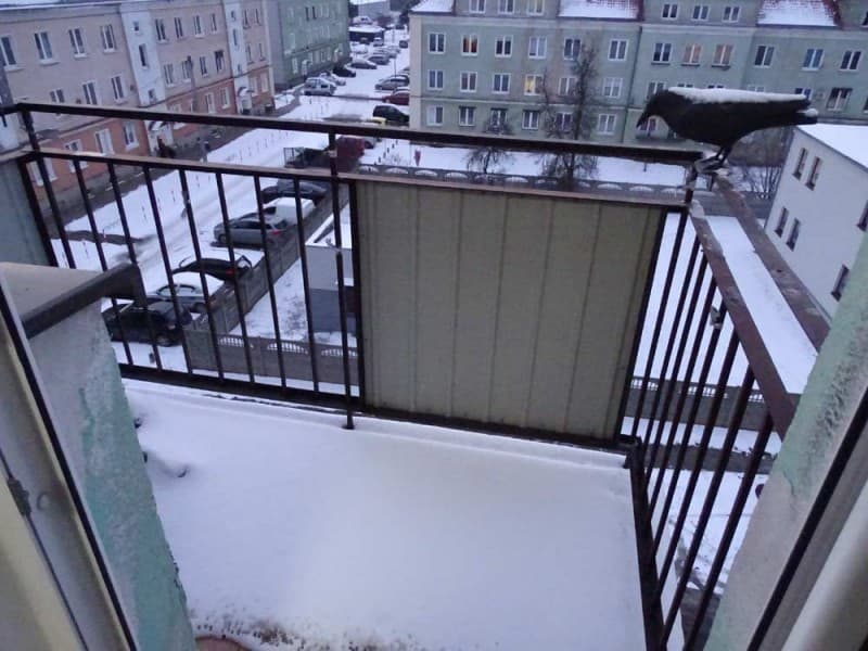 Zdjęcie 15