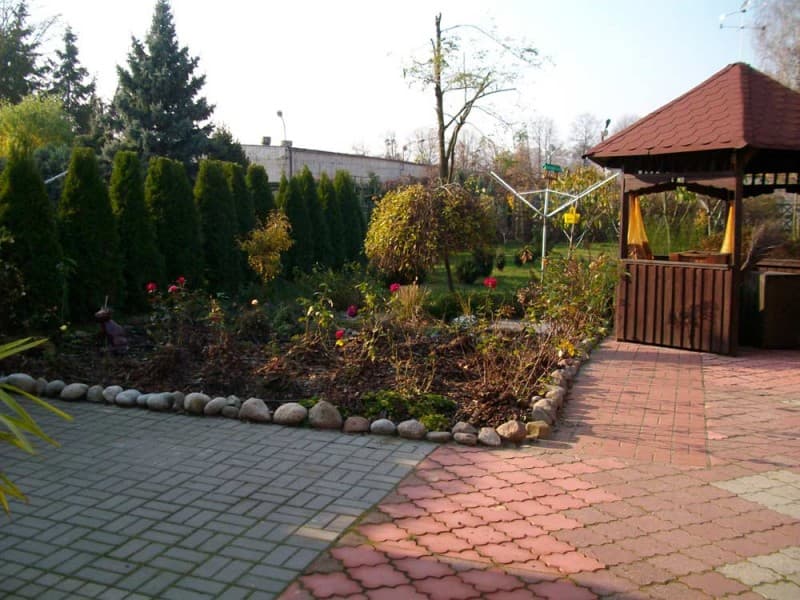 Zdjęcie 5