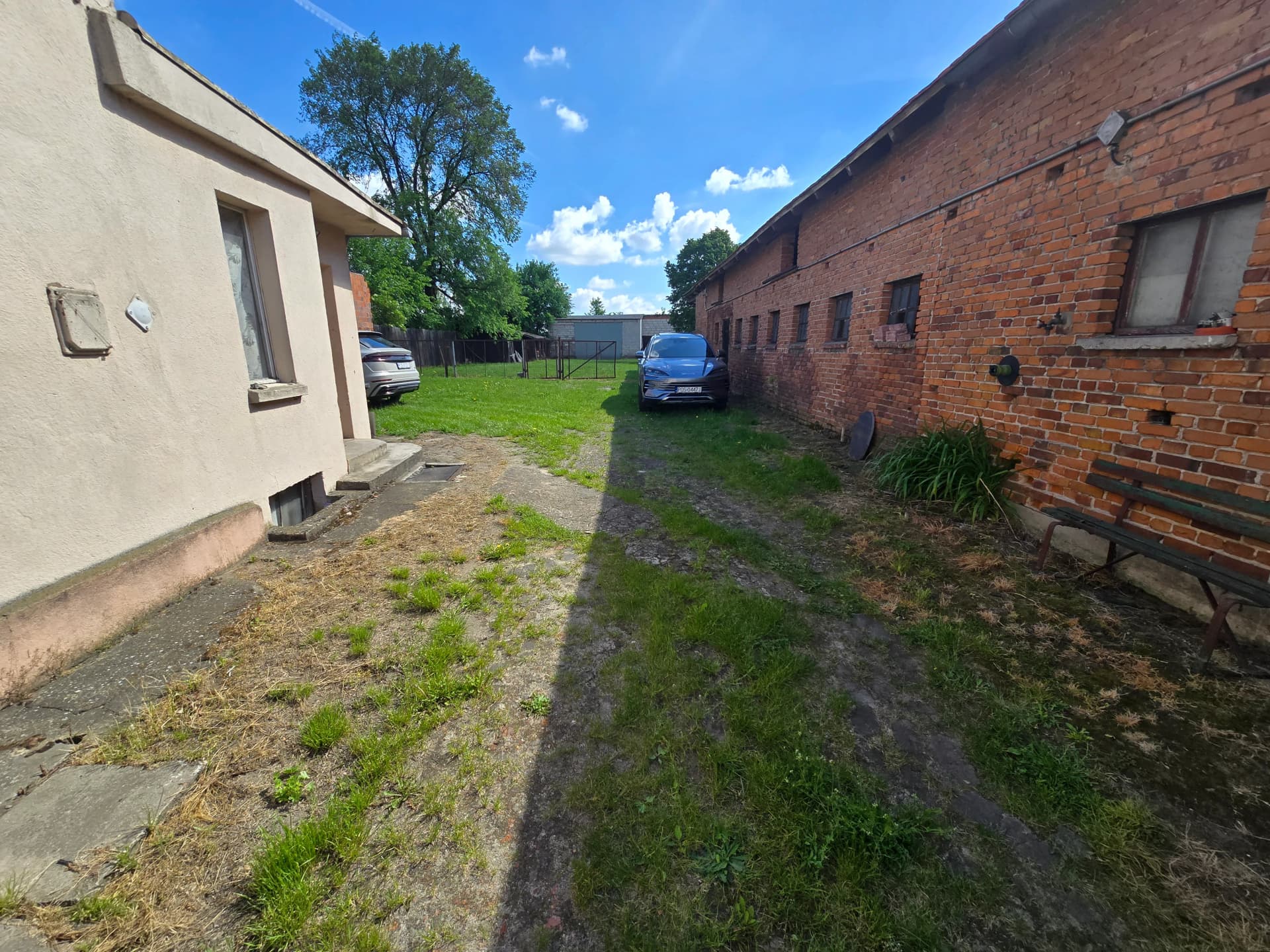 Zdjęcie 12