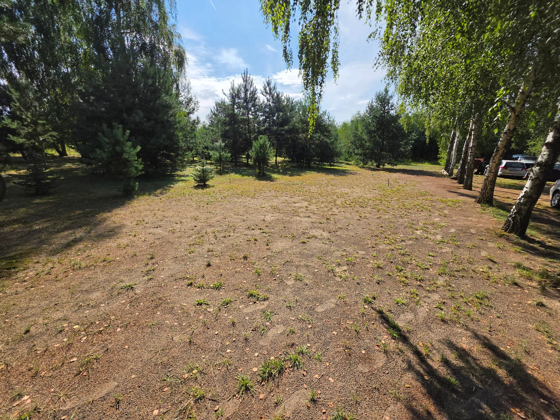 Zdjęcie 11