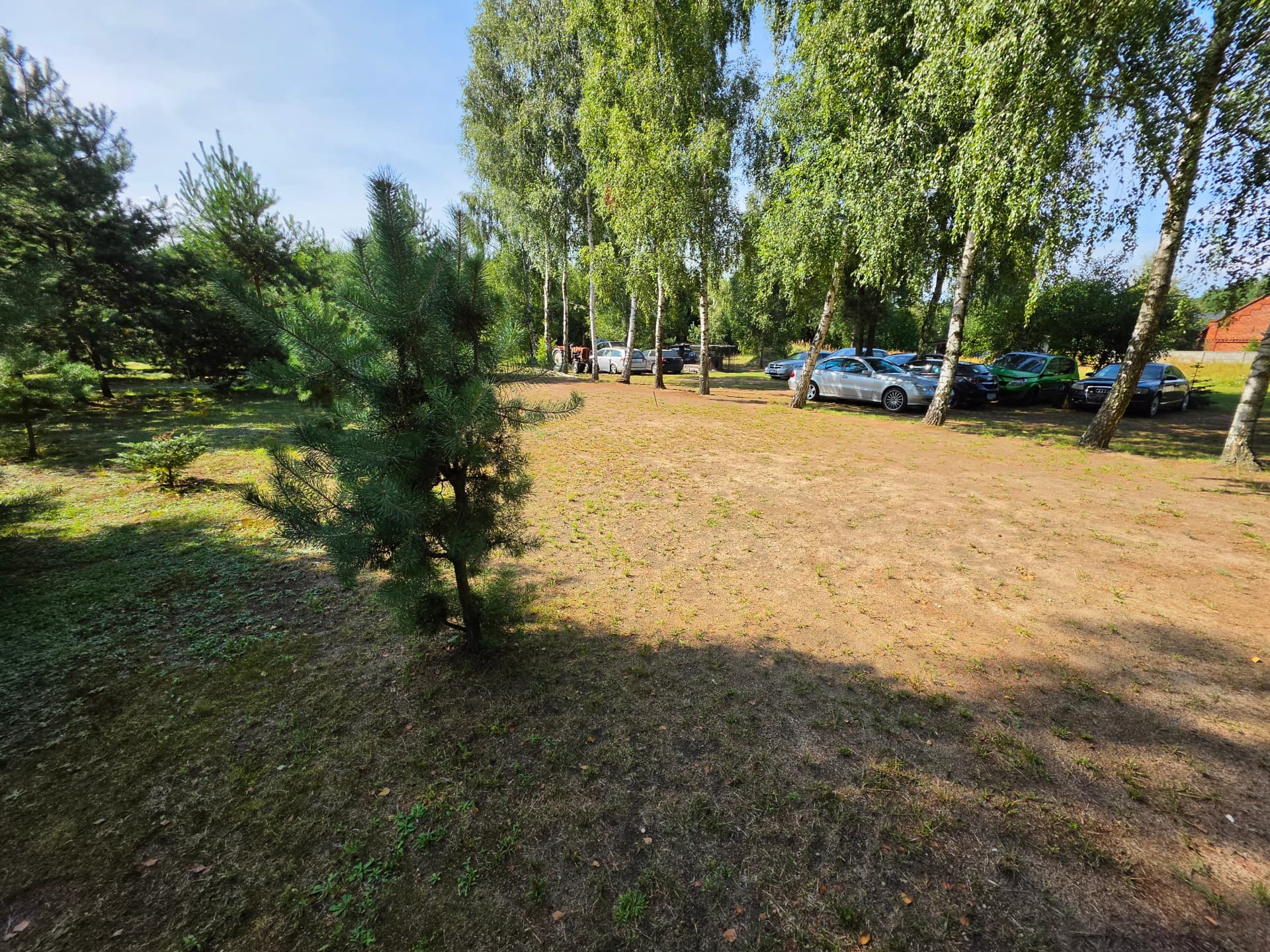 Zdjęcie 12