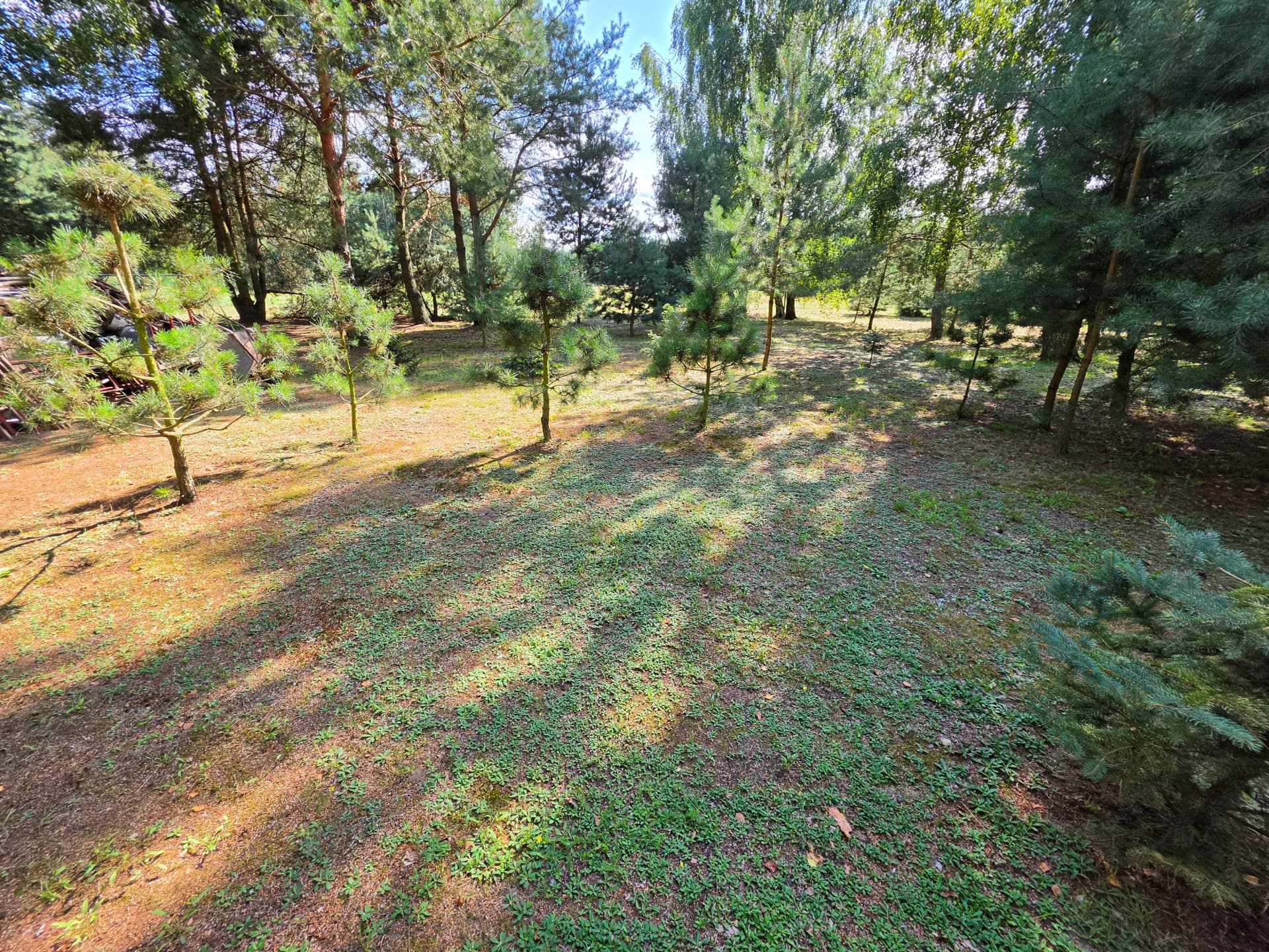 Zdjęcie 13