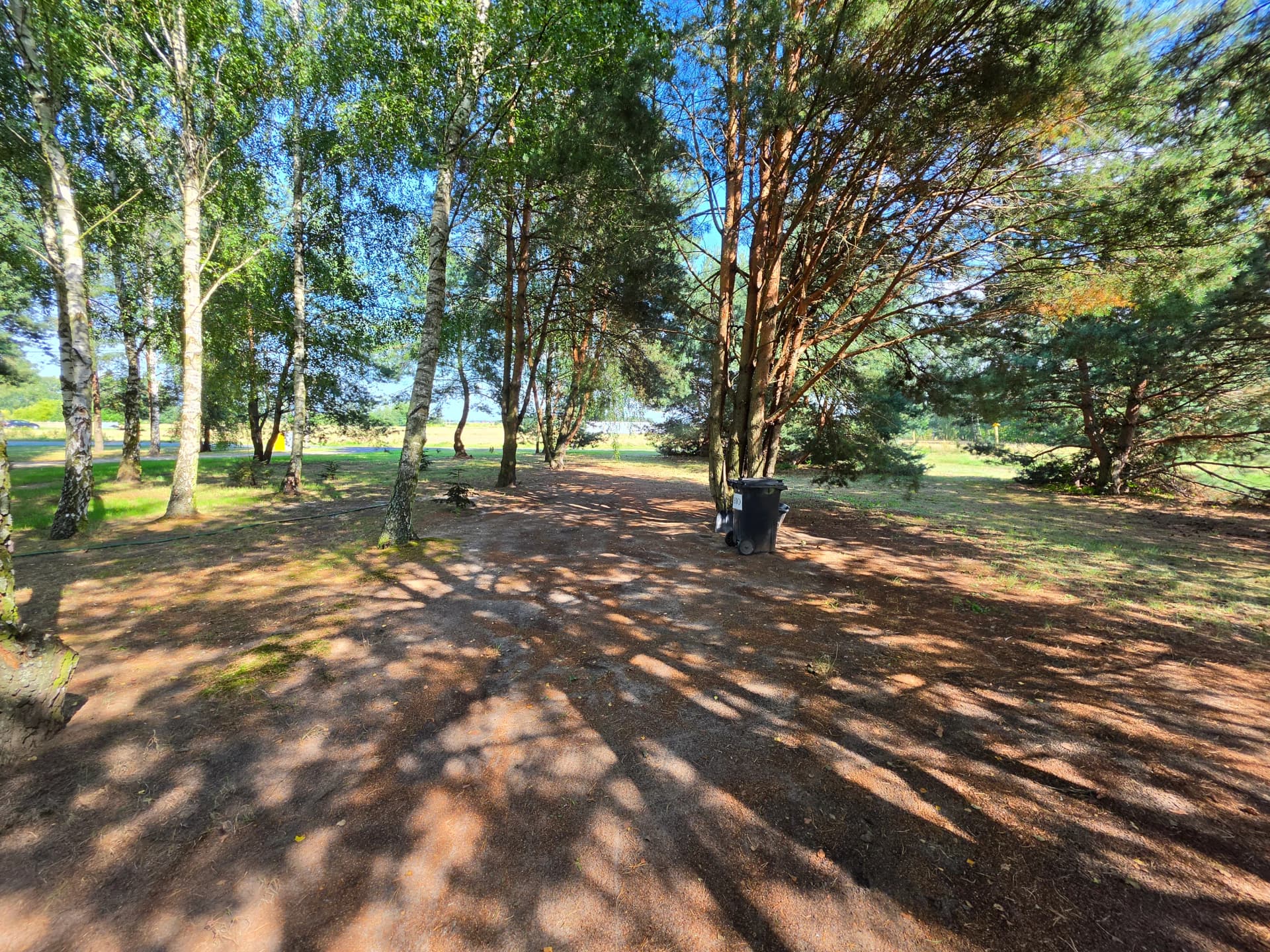Zdjęcie 16