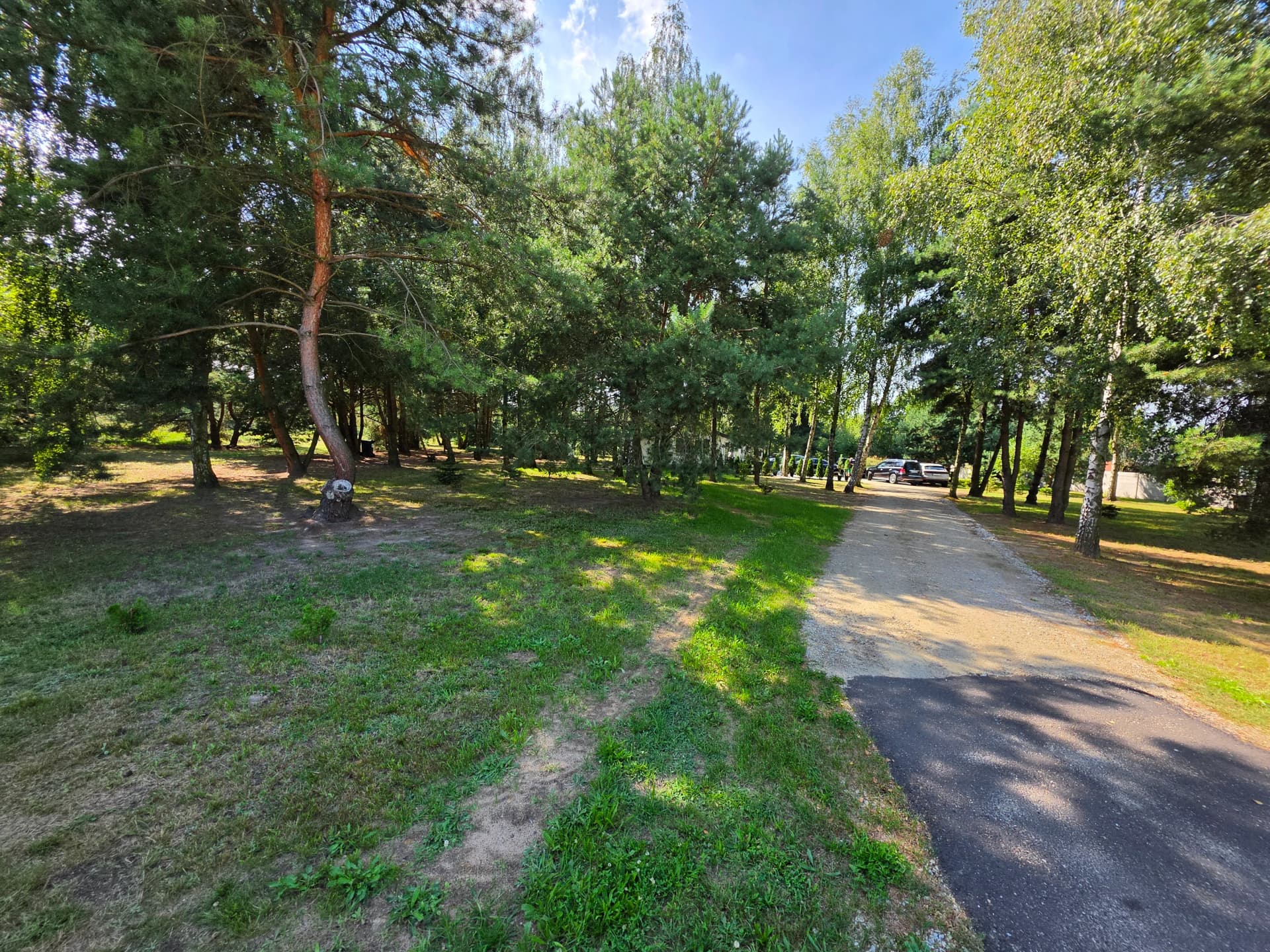 Zdjęcie 22