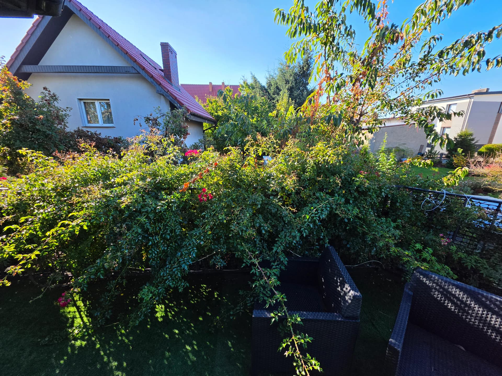 Zdjęcie 13