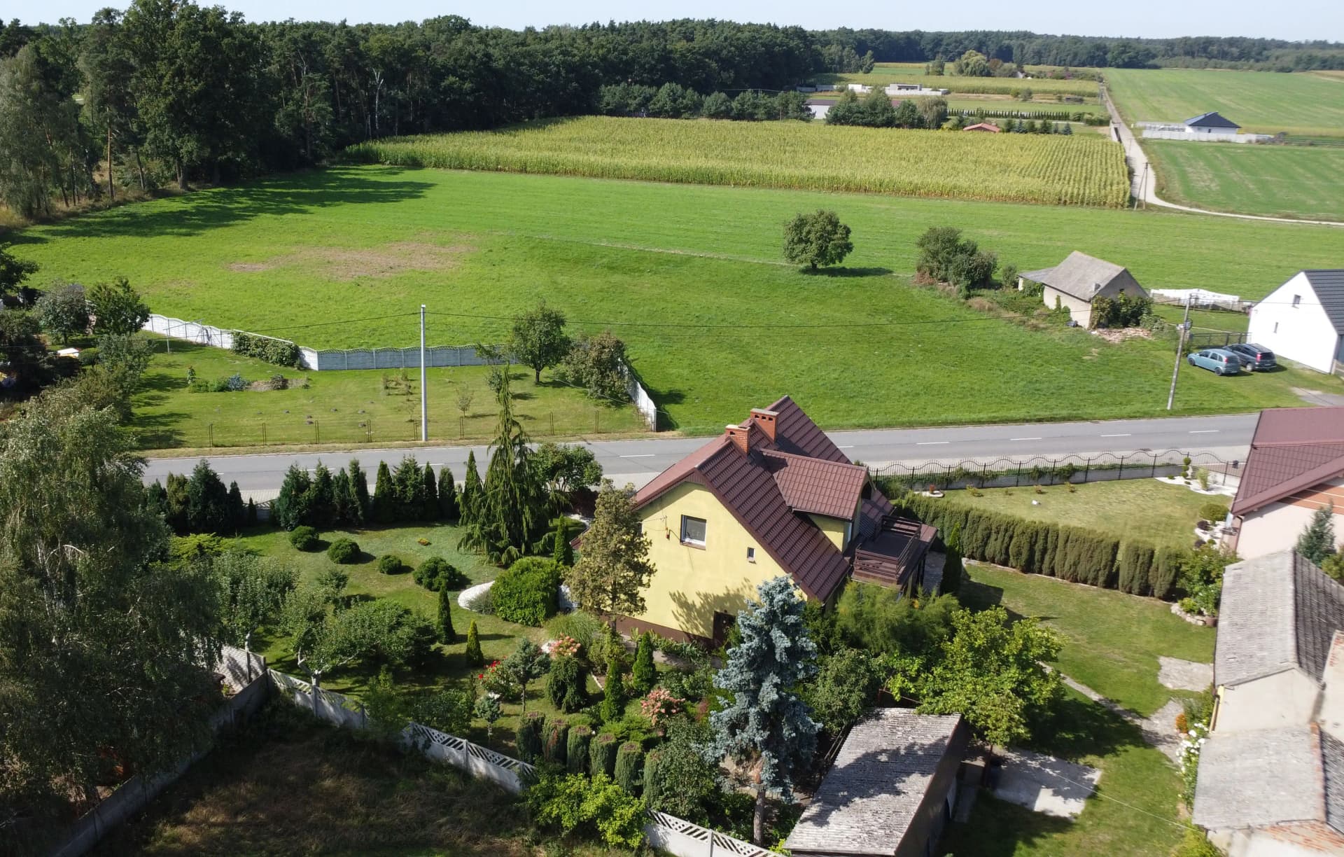 Zdjęcie 5