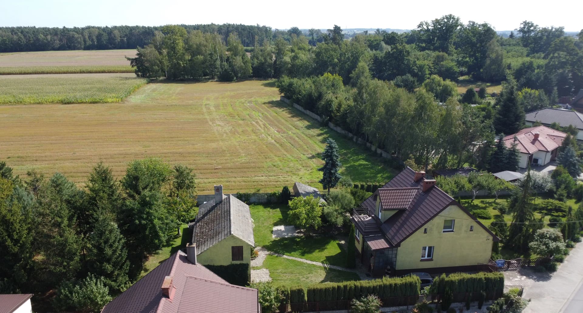Zdjęcie 6
