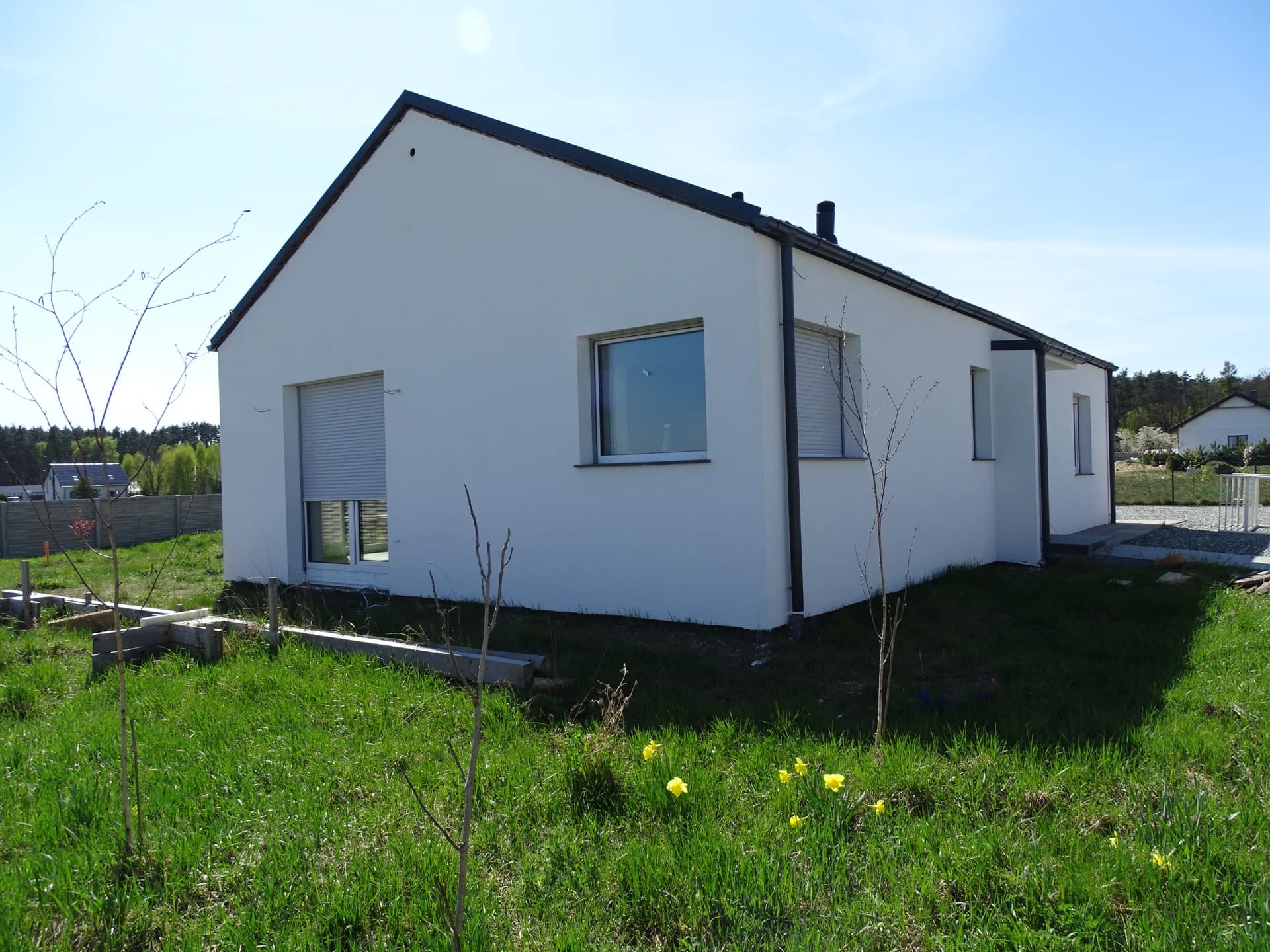 Zdjęcie 12