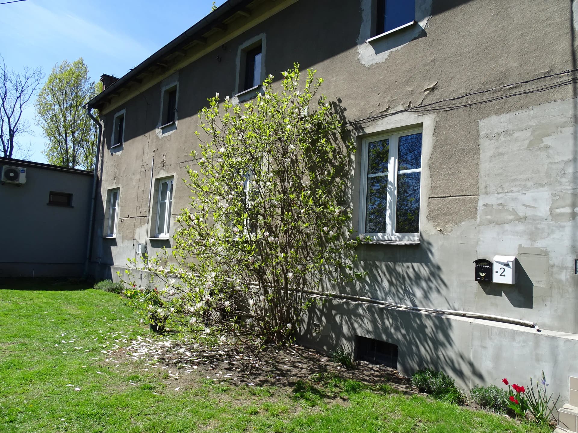 Lokal użytkowy do wynajęcia