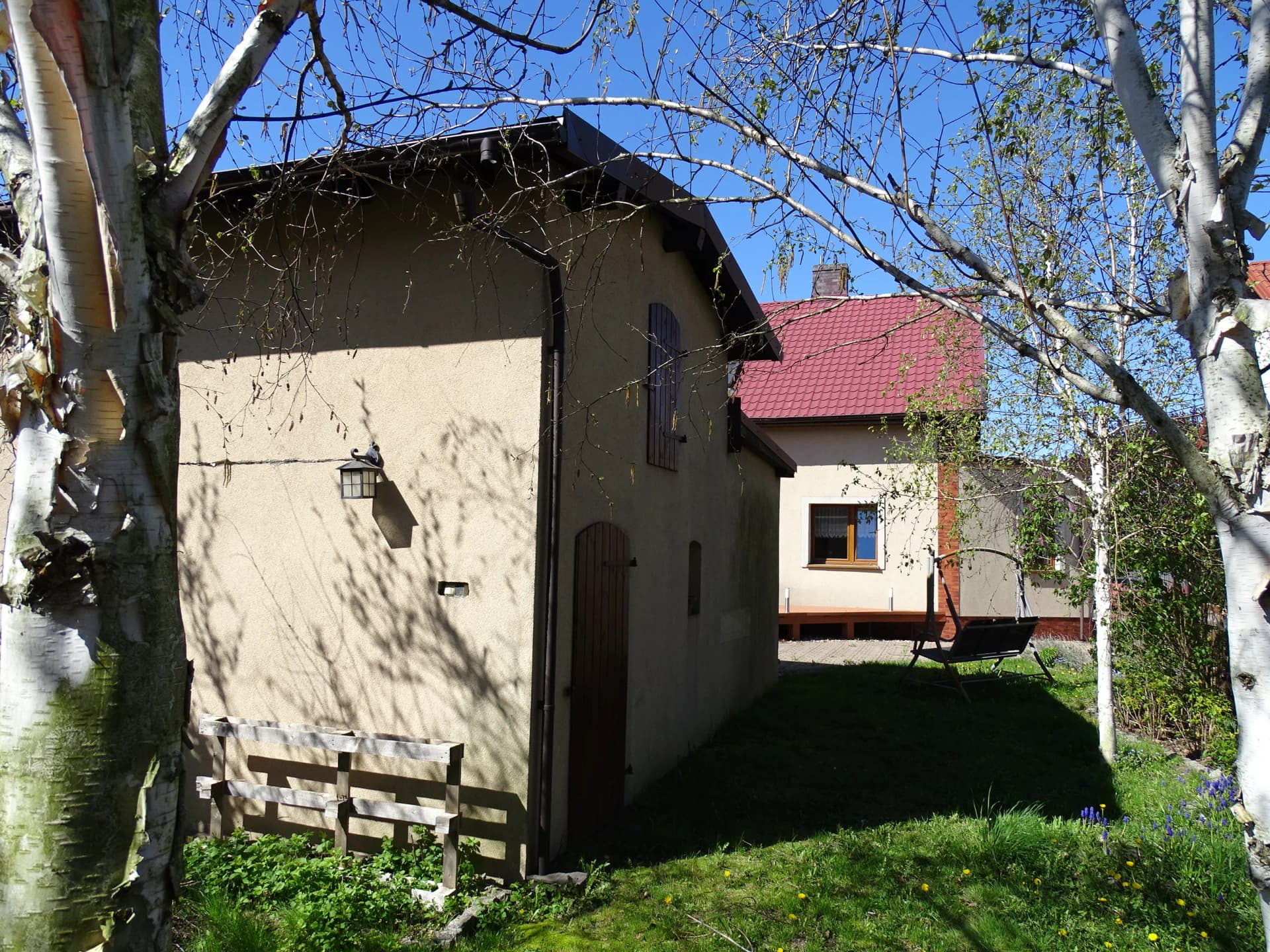 Zdjęcie 24