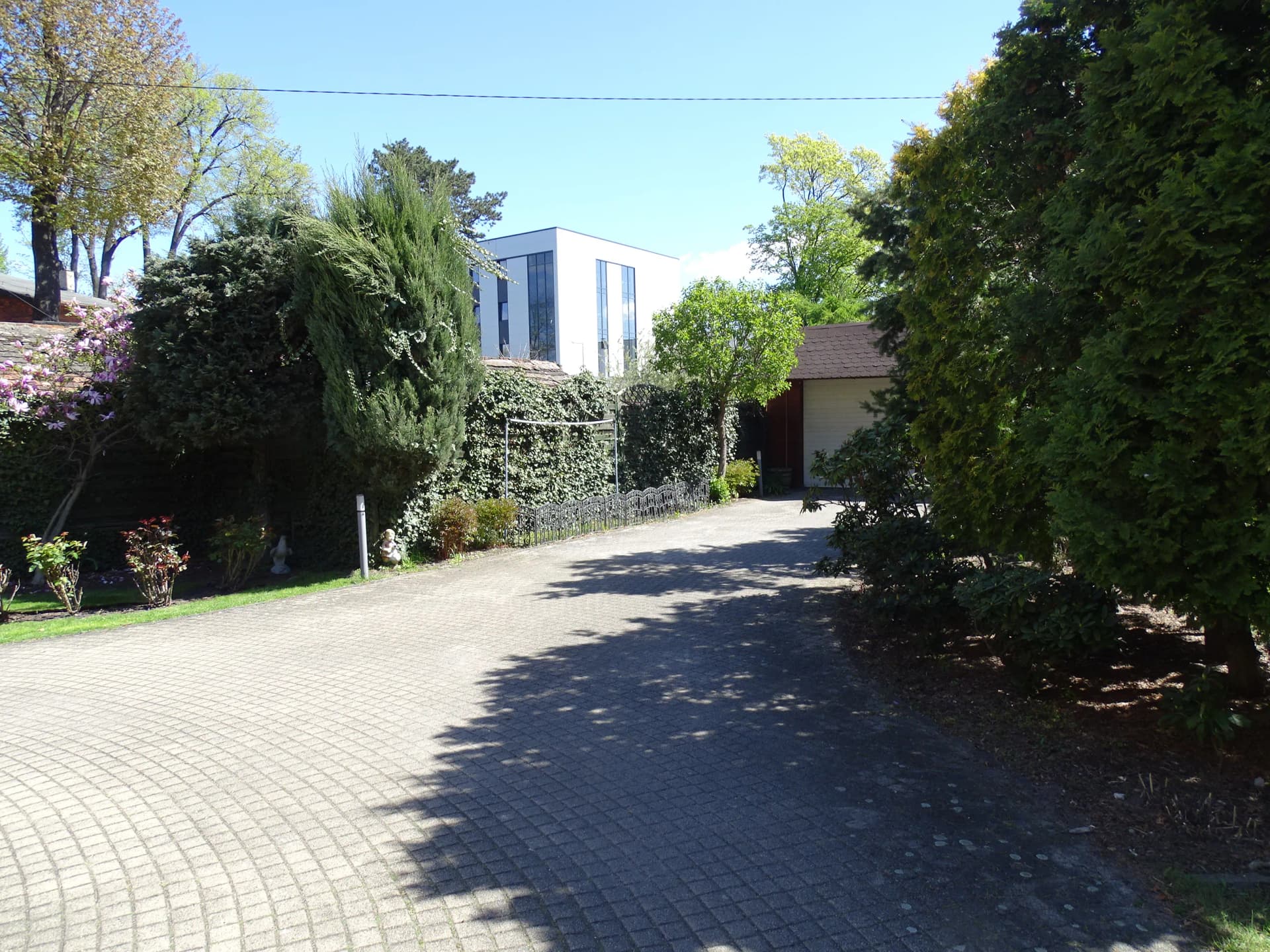 Zdjęcie 22