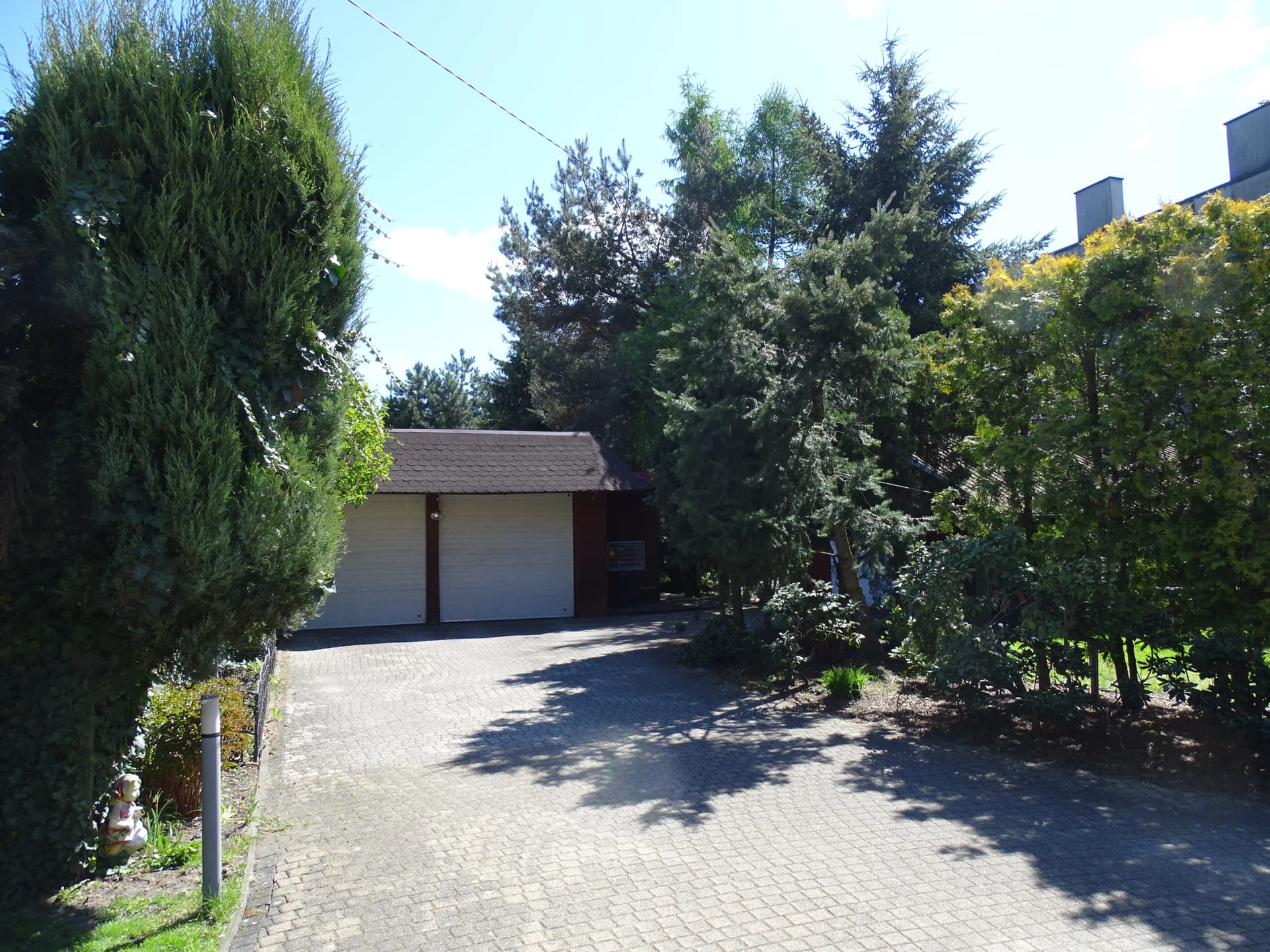 Zdjęcie 20