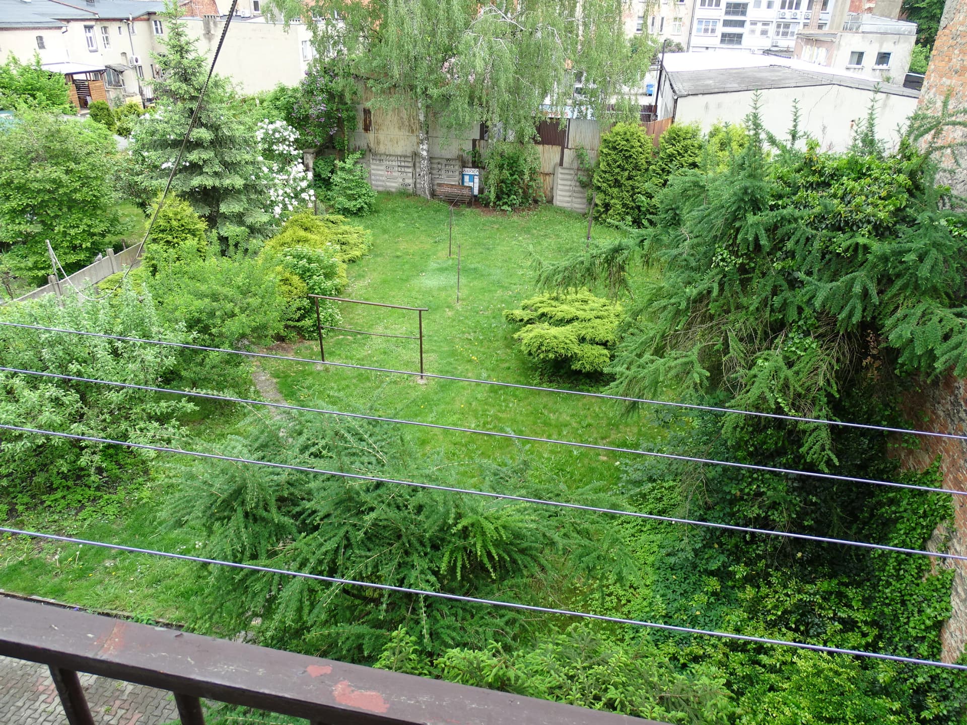 Zdjęcie 19