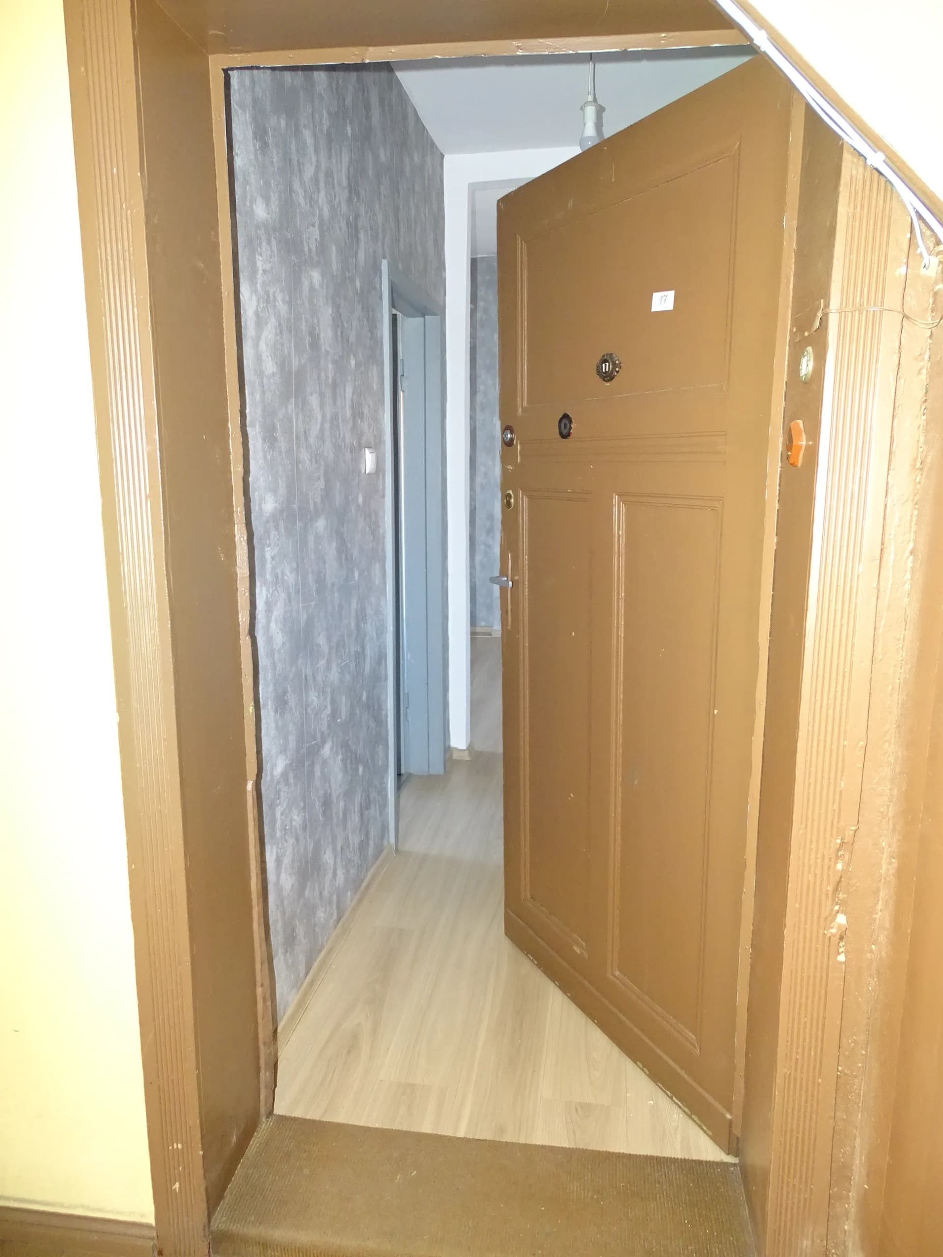 Zdjęcie 10