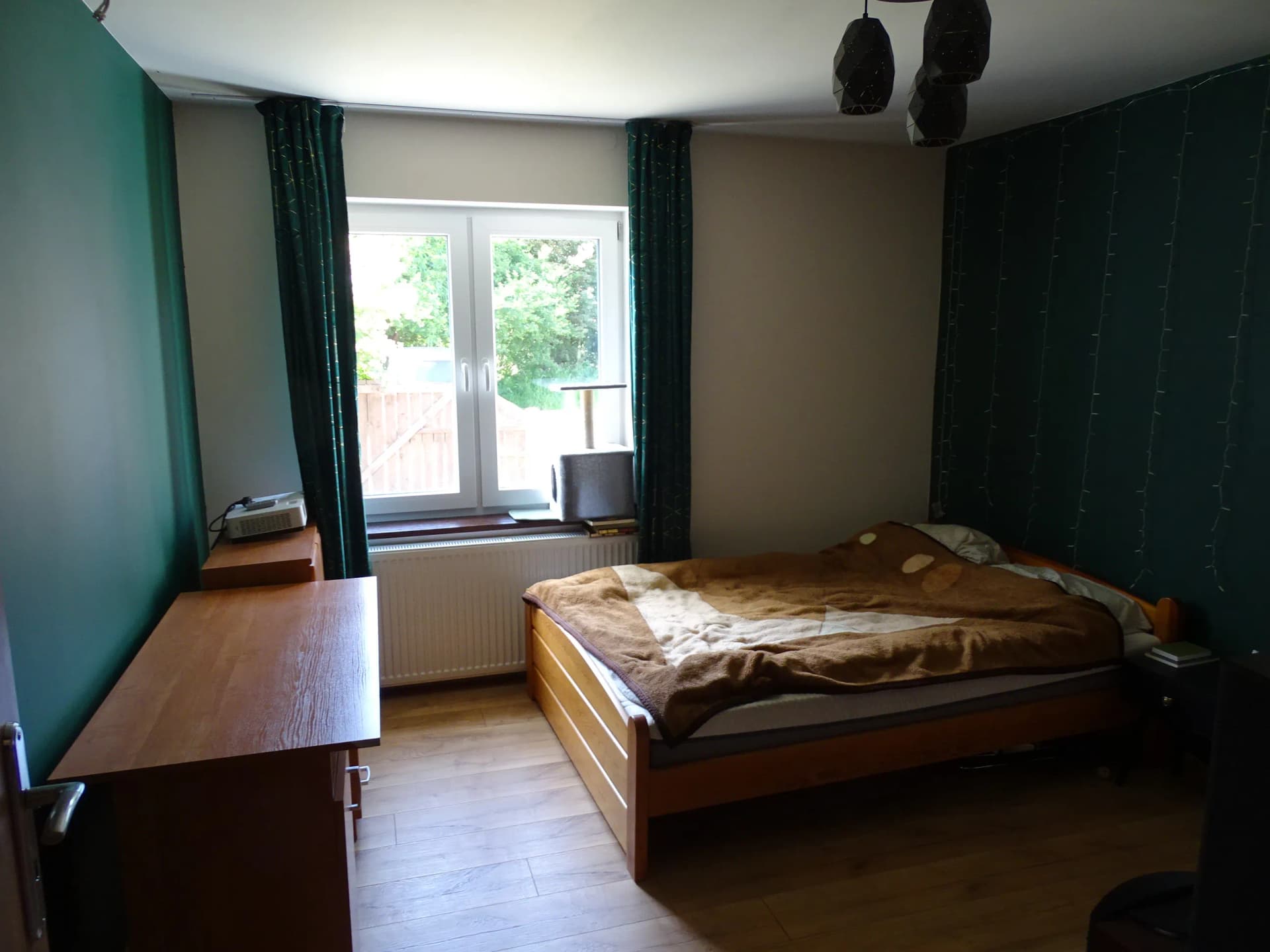 Zdjęcie 15