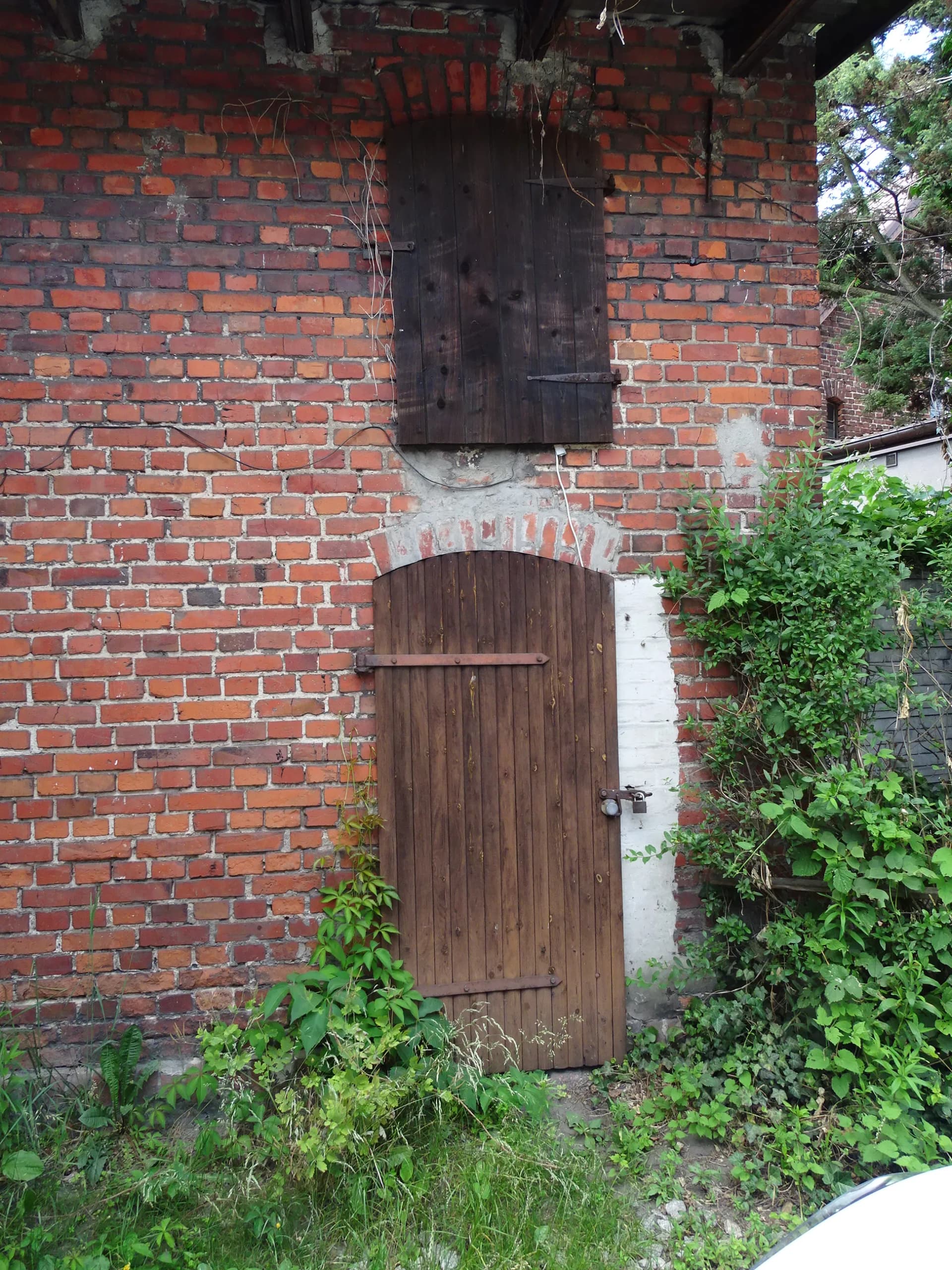 Zdjęcie 20