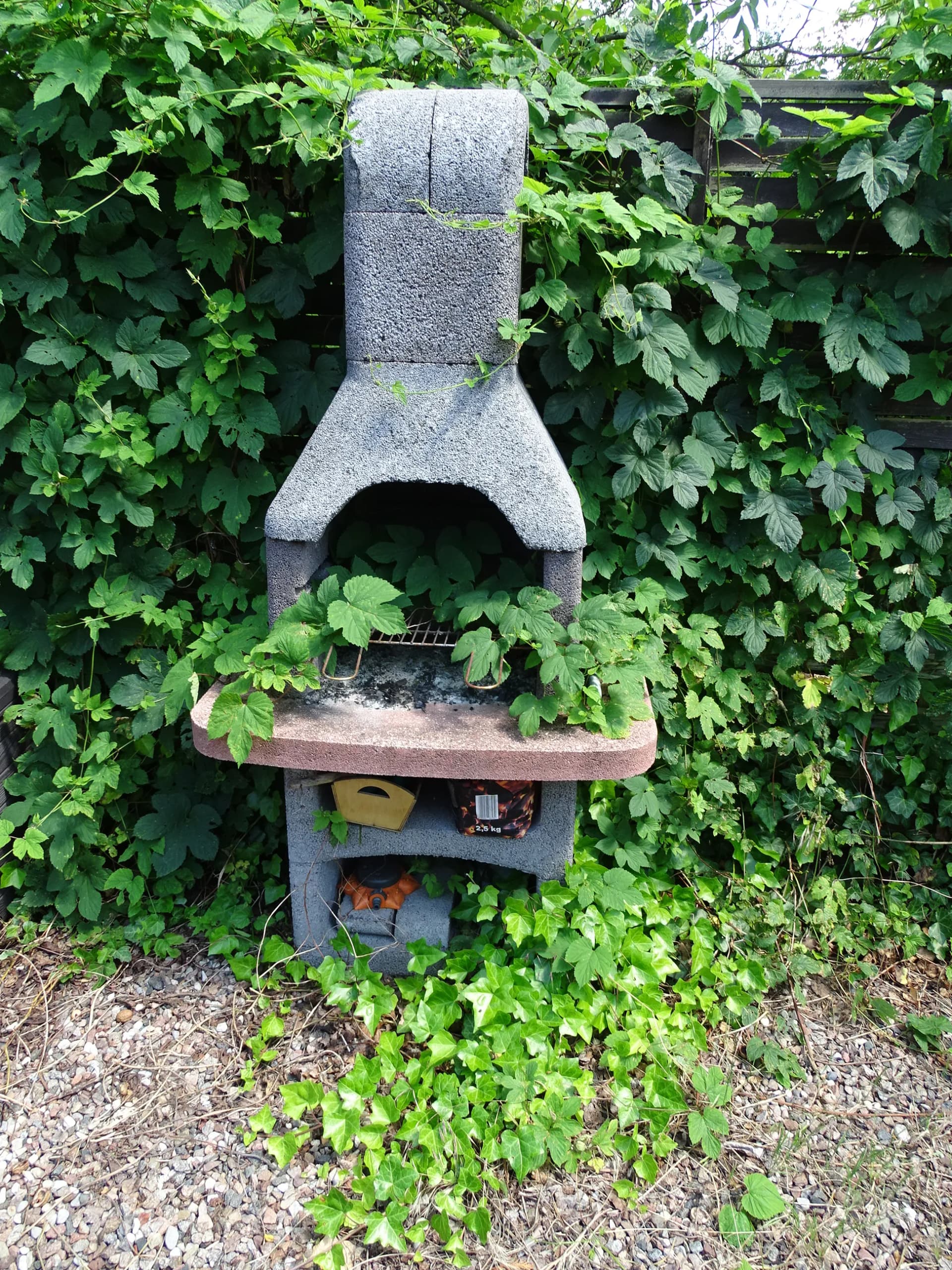 Zdjęcie 23
