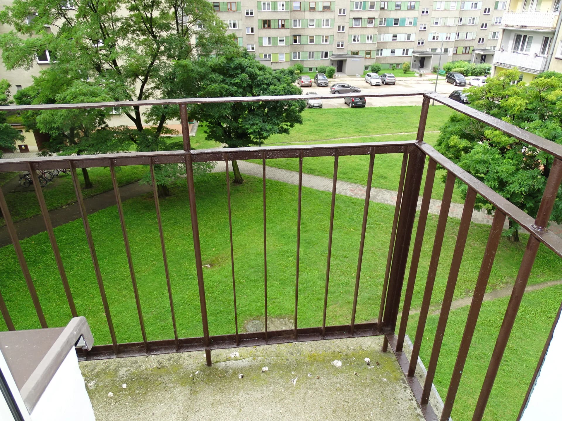 Zdjęcie 8