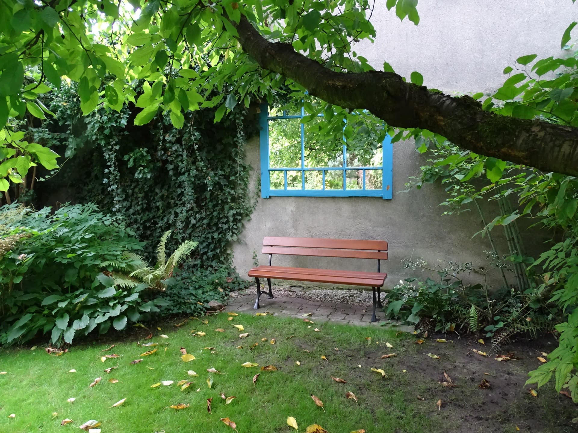 Zdjęcie 5