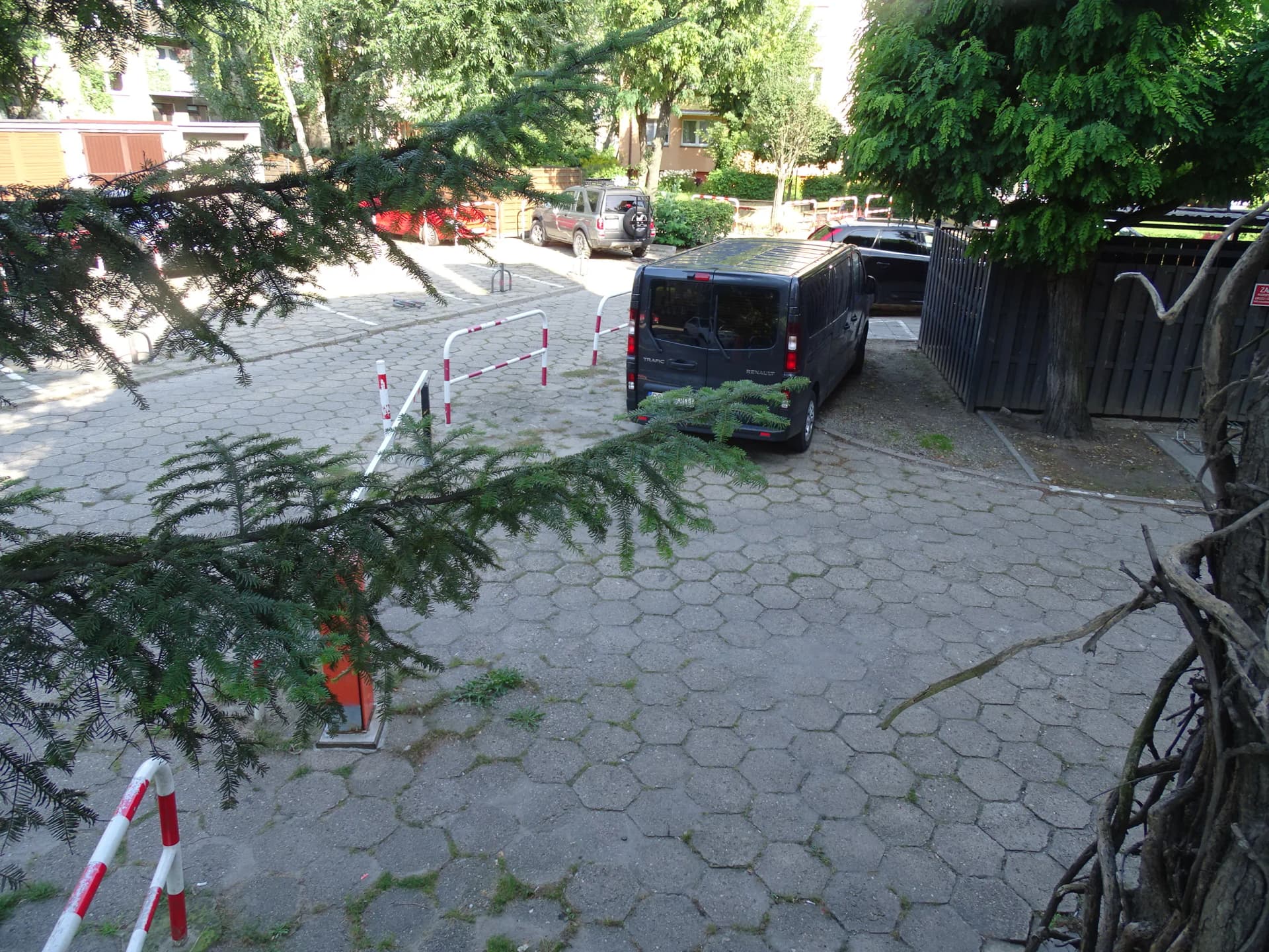 Zdjęcie 12