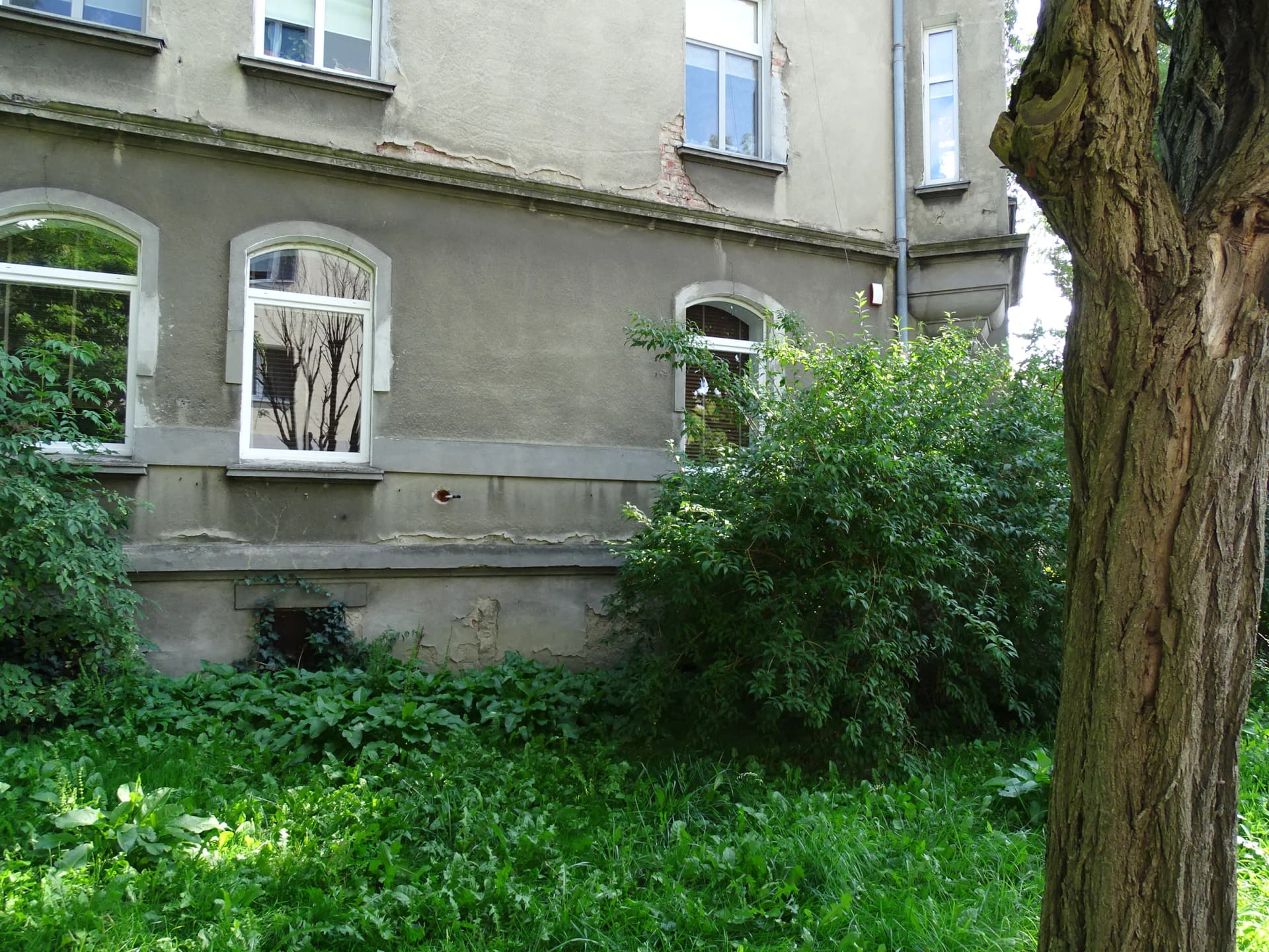Zdjęcie 23