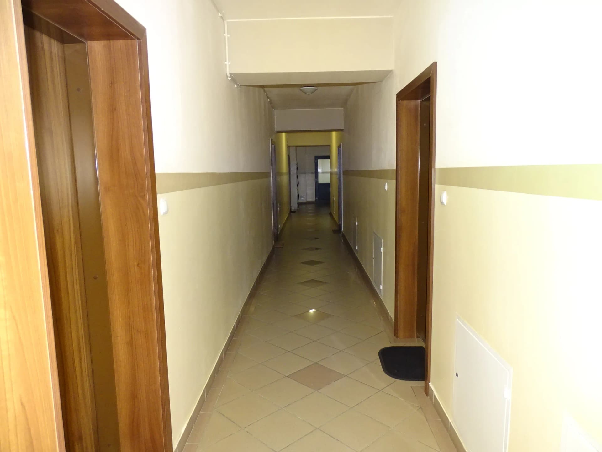 Zdjęcie 11
