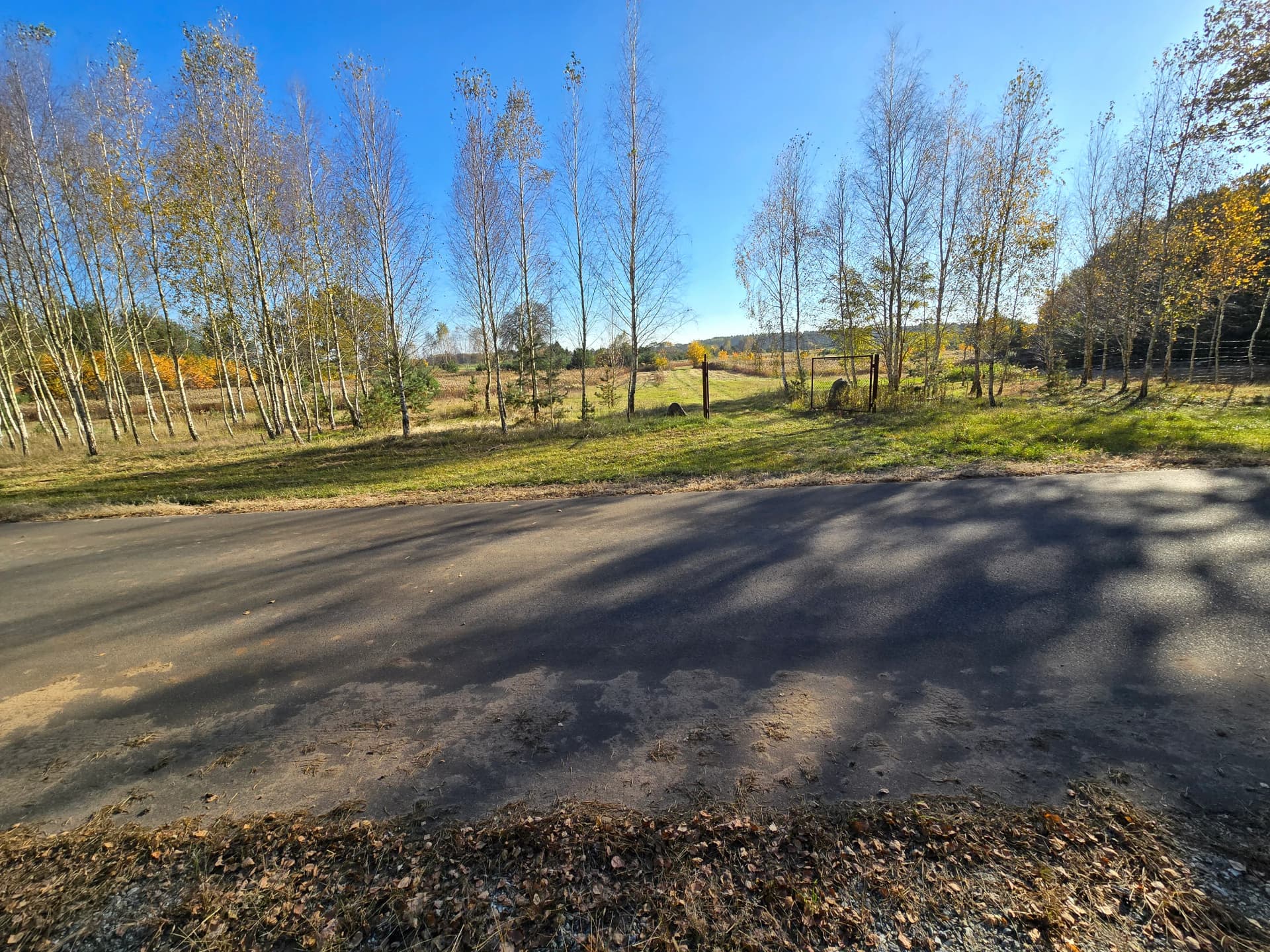 Zdjęcie 11