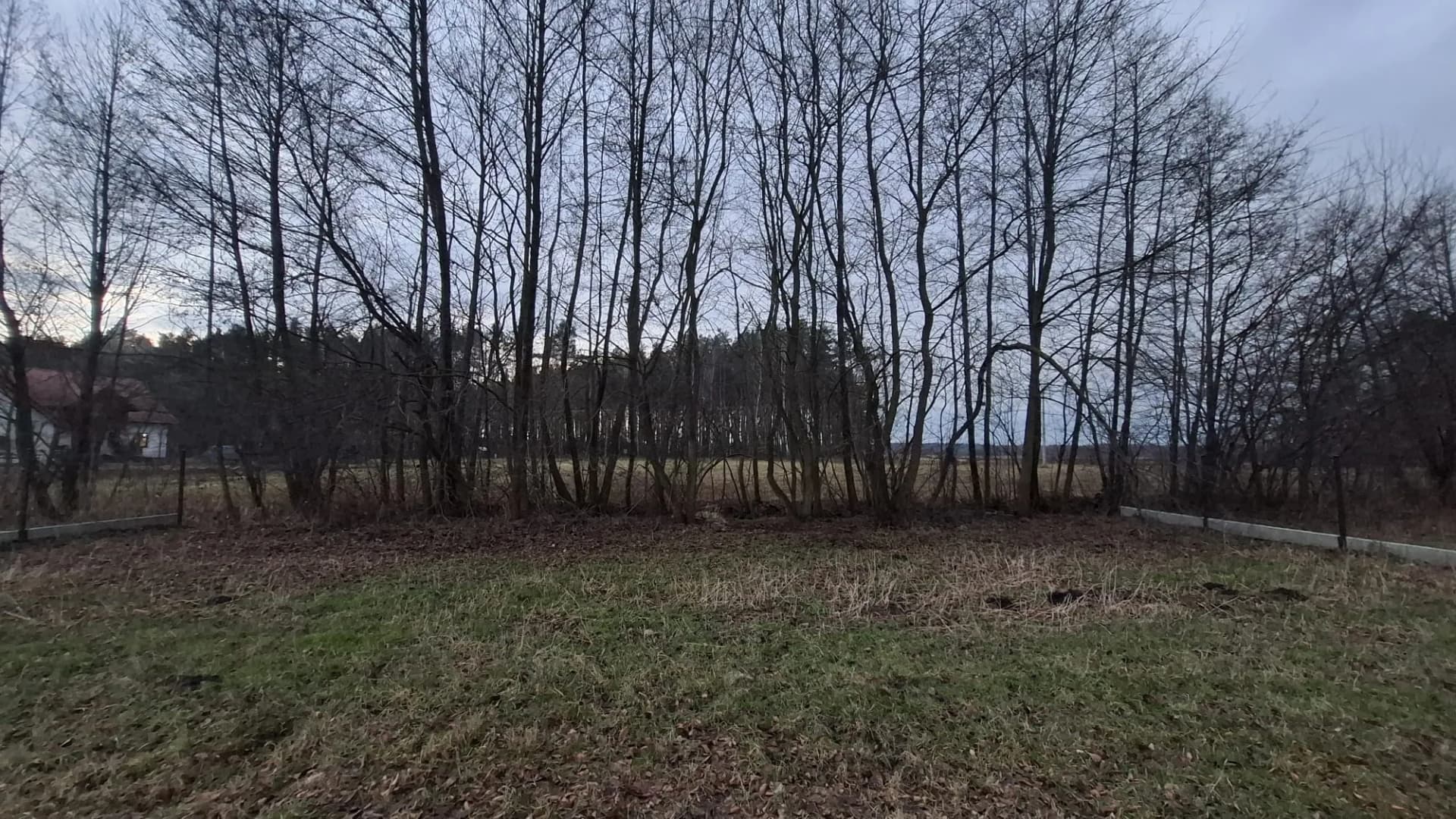 Zdjęcie 4