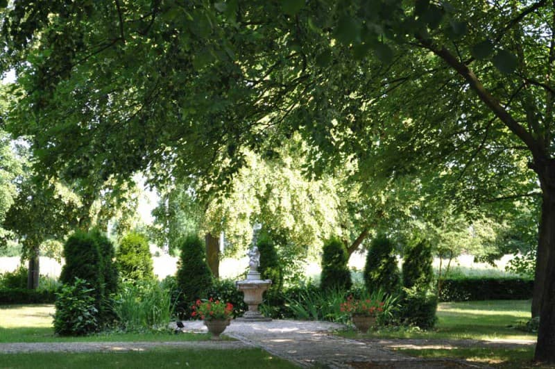 Zdjęcie 12