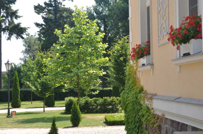 Zdjęcie 15