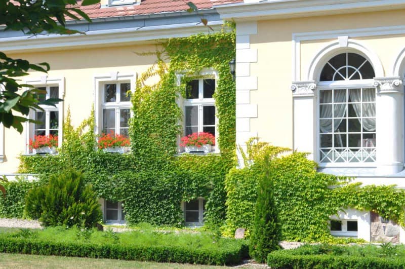 Zdjęcie 8