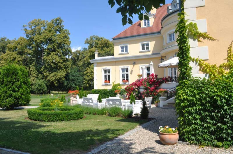 Zdjęcie 11