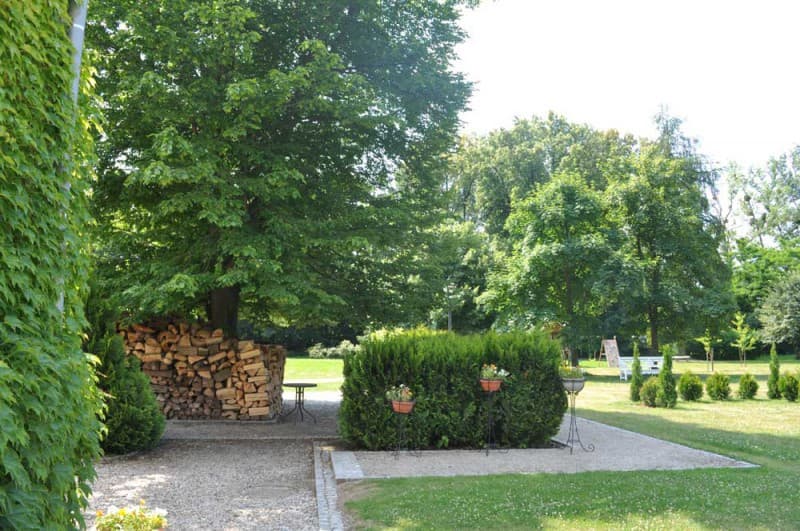 Zdjęcie 13