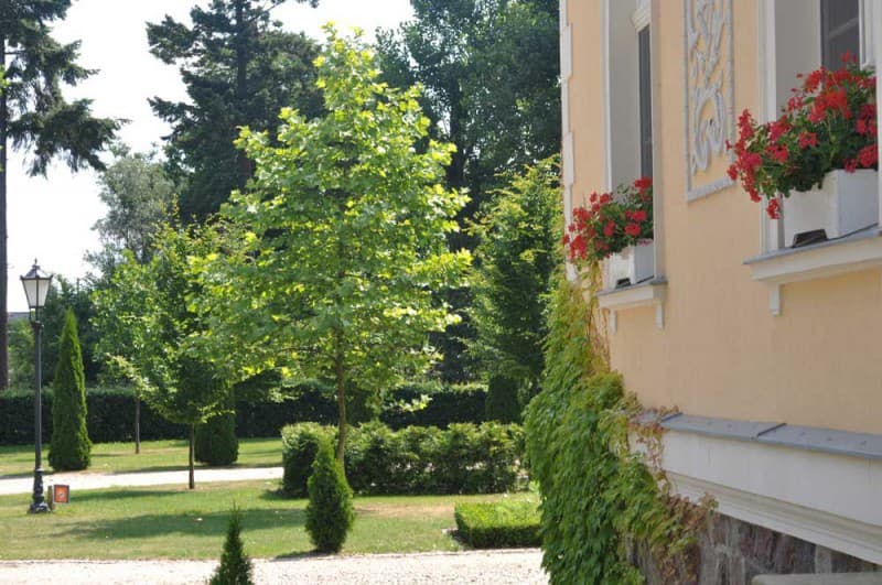 Zdjęcie 16