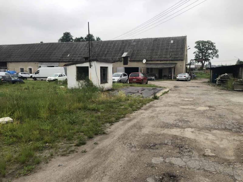 Zdjęcie 13