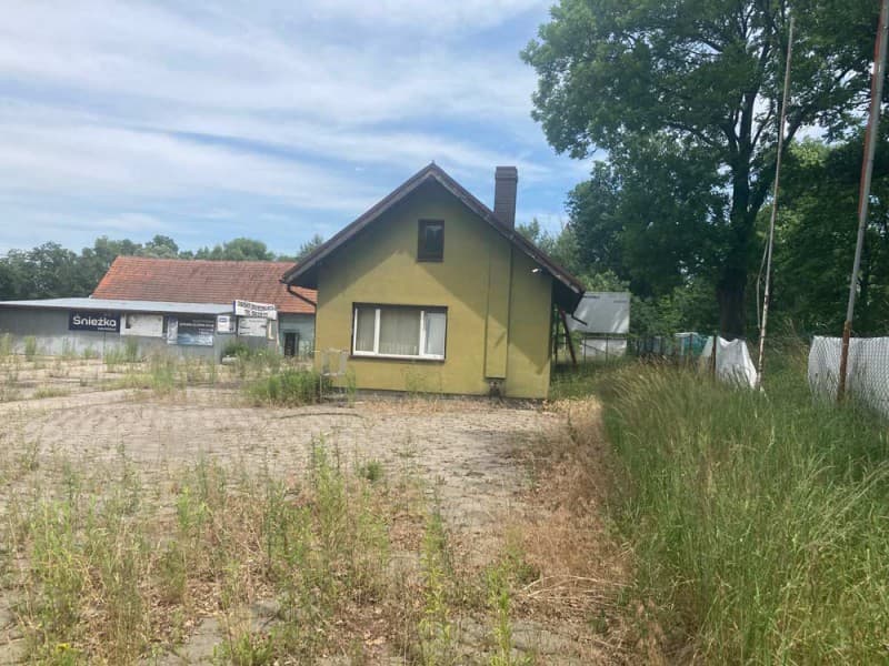 Zdjęcie 13