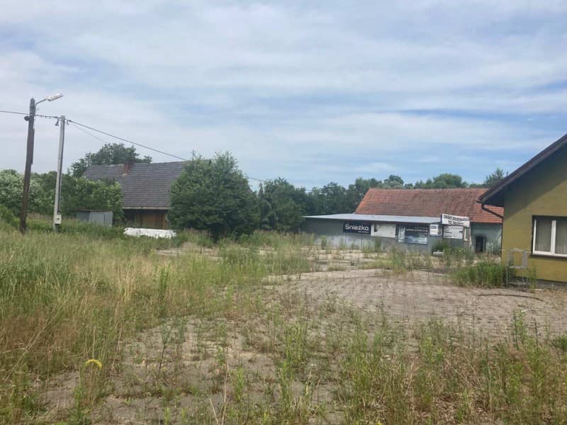 Zdjęcie 18