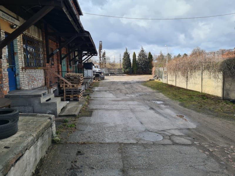 Zdjęcie 8